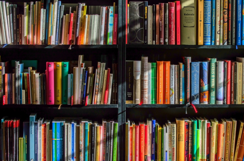magasin-ROUGIERS-min_books_bookstore_book_reading_shop_writer_sale_books_read-822866